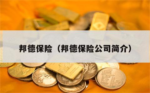邦德保险（邦德保险公司简介）