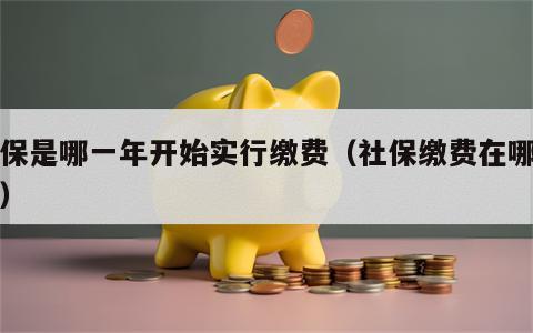 社保是哪一年开始实行缴费（社保缴费在哪里缴）
