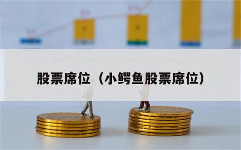 股票席位（小鳄鱼股票席位）
