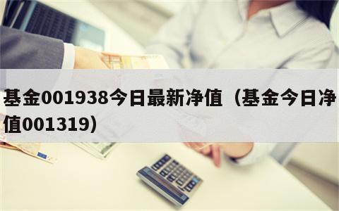 基金001938今日最新净值（基金今日净值001319）