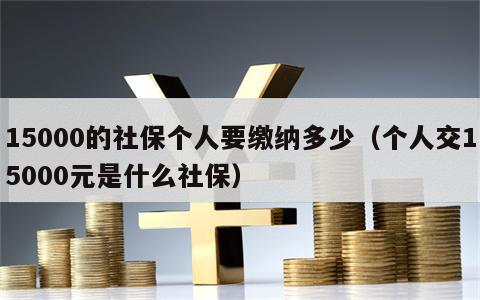 15000的社保个人要缴纳多少（个人交15000元是什么社保）