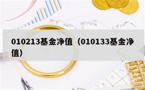 010213基金净值（010133基金净值）