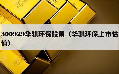 300929华骐环保股票（华骐环保上市估值）