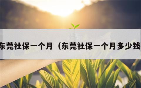 东莞社保一个月（东莞社保一个月多少钱）