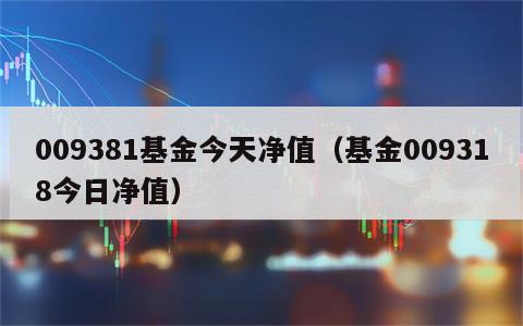 009381基金今天净值（基金009318今日净值）