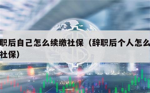 辞职后自己怎么续缴社保（辞职后个人怎么续交社保）