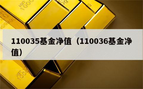 110035基金净值（110036基金净值）