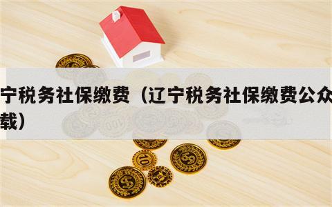 辽宁税务社保缴费（辽宁税务社保缴费公众号下载）