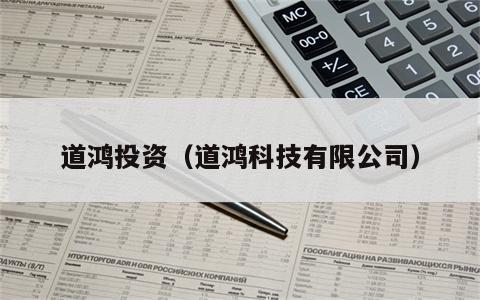 道鸿投资（道鸿科技有限公司）