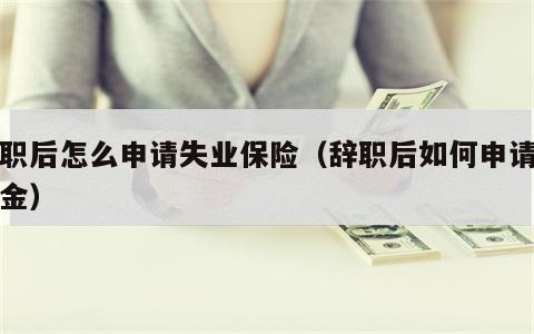辞职后怎么申请失业保险（辞职后如何申请失业金）