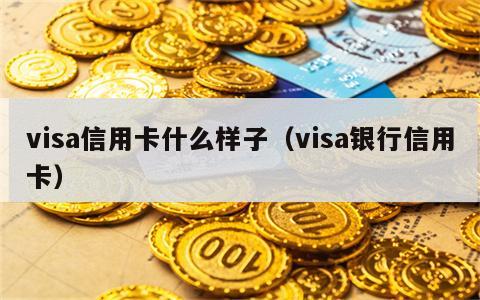 visa信用卡什么样子（visa银行信用卡）