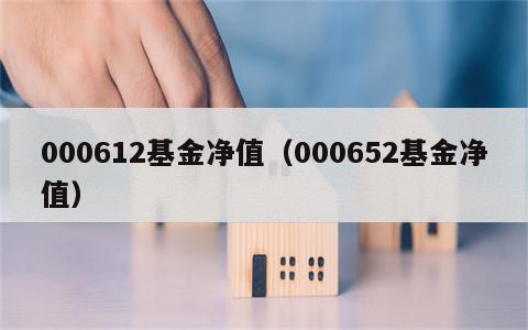 000612基金净值（000652基金净值）