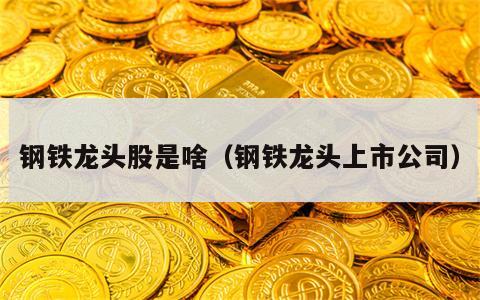 钢铁龙头股是啥（钢铁龙头上市公司）