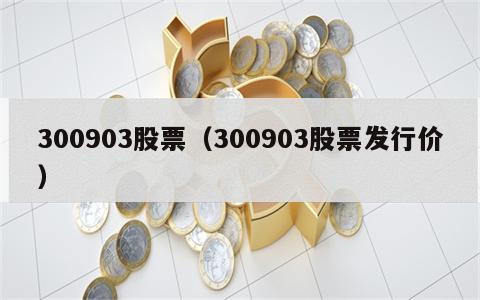 300903股票（300903股票发行价）