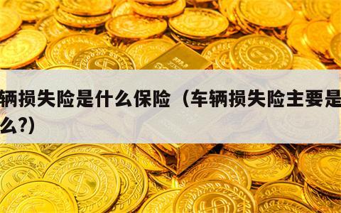 车辆损失险是什么保险（车辆损失险主要是保什么?）