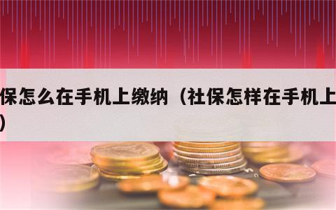 社保怎么在手机上缴纳（社保怎样在手机上交费）