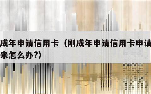 刚成年申请信用卡（刚成年申请信用卡申请不下来怎么办?）