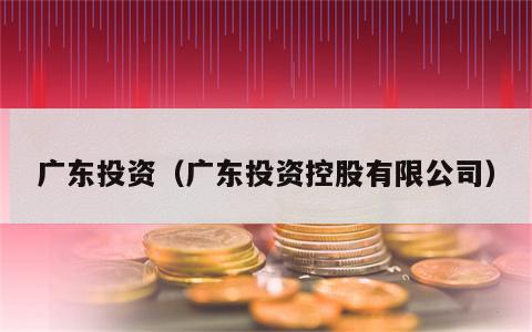 广东投资（广东投资控股有限公司）