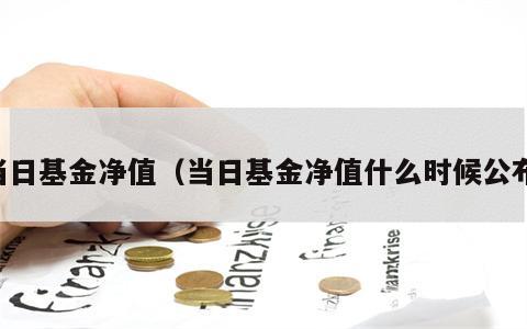 当日基金净值（当日基金净值什么时候公布）