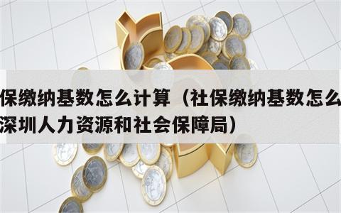 社保缴纳基数怎么计算（社保缴纳基数怎么计算深圳人力资源和社会保障局）