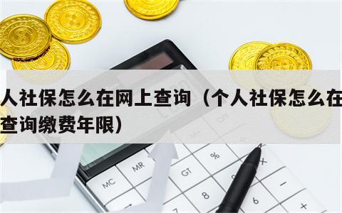 个人社保怎么在网上查询（个人社保怎么在网上查询缴费年限）