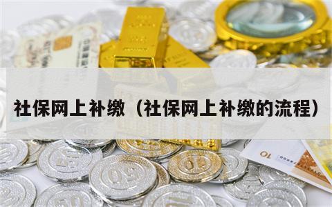 社保网上补缴（社保网上补缴的流程）