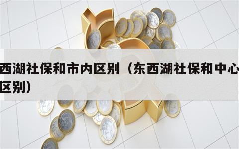 东西湖社保和市内区别（东西湖社保和中心城区区别）