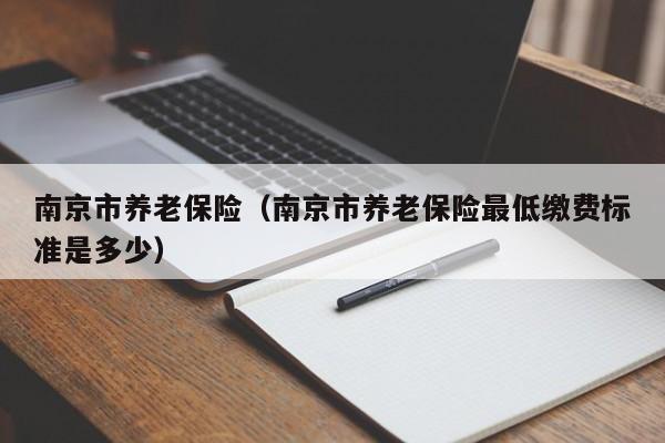 南京市养老保险（南京市养老保险最低缴费标准是多少）