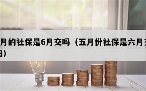 5月的社保是6月交吗（五月份社保是六月交吗）