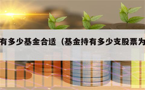 持有多少基金合适（基金持有多少支股票为宜）