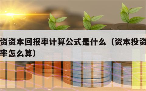 投资资本回报率计算公式是什么（资本投资回报率怎么算）