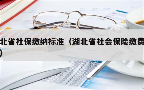 湖北省社保缴纳标准（湖北省社会保险缴费标准）