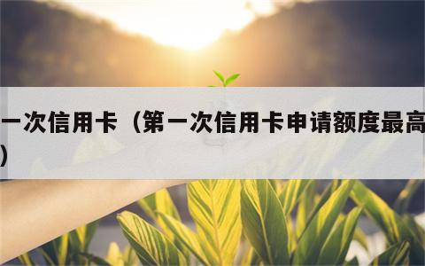 第一次信用卡（第一次信用卡申请额度最高多少）