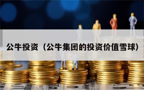 公牛投资（公牛集团的投资价值雪球）