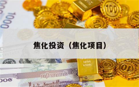 焦化投资（焦化项目）