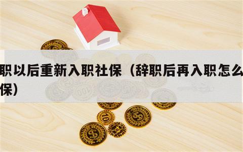 辞职以后重新入职社保（辞职后再入职怎么办社保）