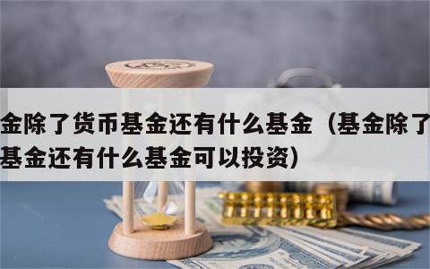 基金除了货币基金还有什么基金（基金除了货币基金还有什么基金可以投资）