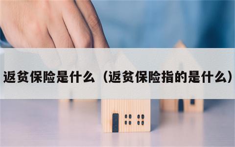 返贫保险是什么（返贫保险指的是什么）
