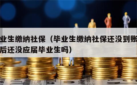 毕业生缴纳社保（毕业生缴纳社保还没到账取消后还没应届毕业生吗）