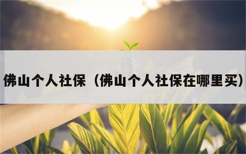 佛山个人社保（佛山个人社保在哪里买）