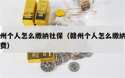 赣州个人怎么缴纳社保（赣州个人怎么缴纳社保费）