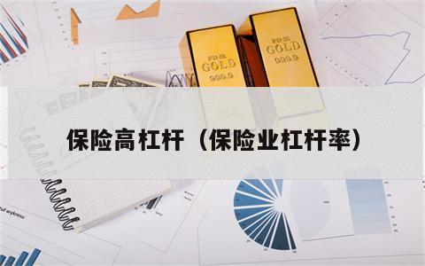 保险高杠杆（保险业杠杆率）