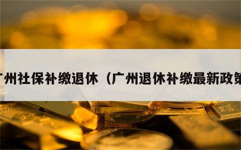 广州社保补缴退休（广州退休补缴最新政策）