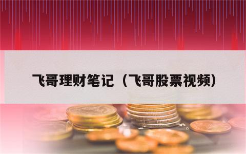 飞哥理财笔记（飞哥股票视频）