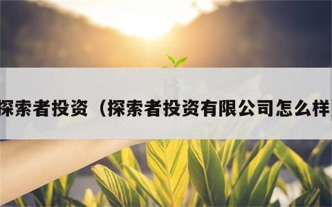 探索者投资（探索者投资有限公司怎么样）