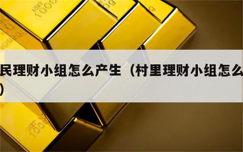 村民理财小组怎么产生（村里理财小组怎么管理）