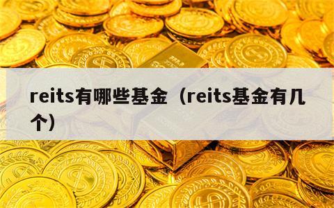 reits有哪些基金（reits基金有几个）