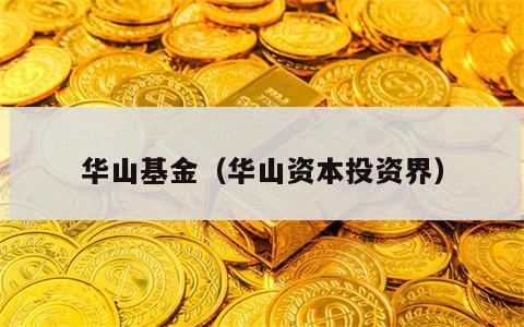 华山基金（华山资本投资界）