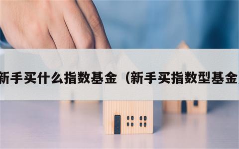 新手买什么指数基金（新手买指数型基金）