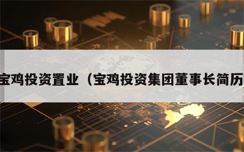 宝鸡投资置业（宝鸡投资集团董事长简历）